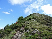 mtorr22 014